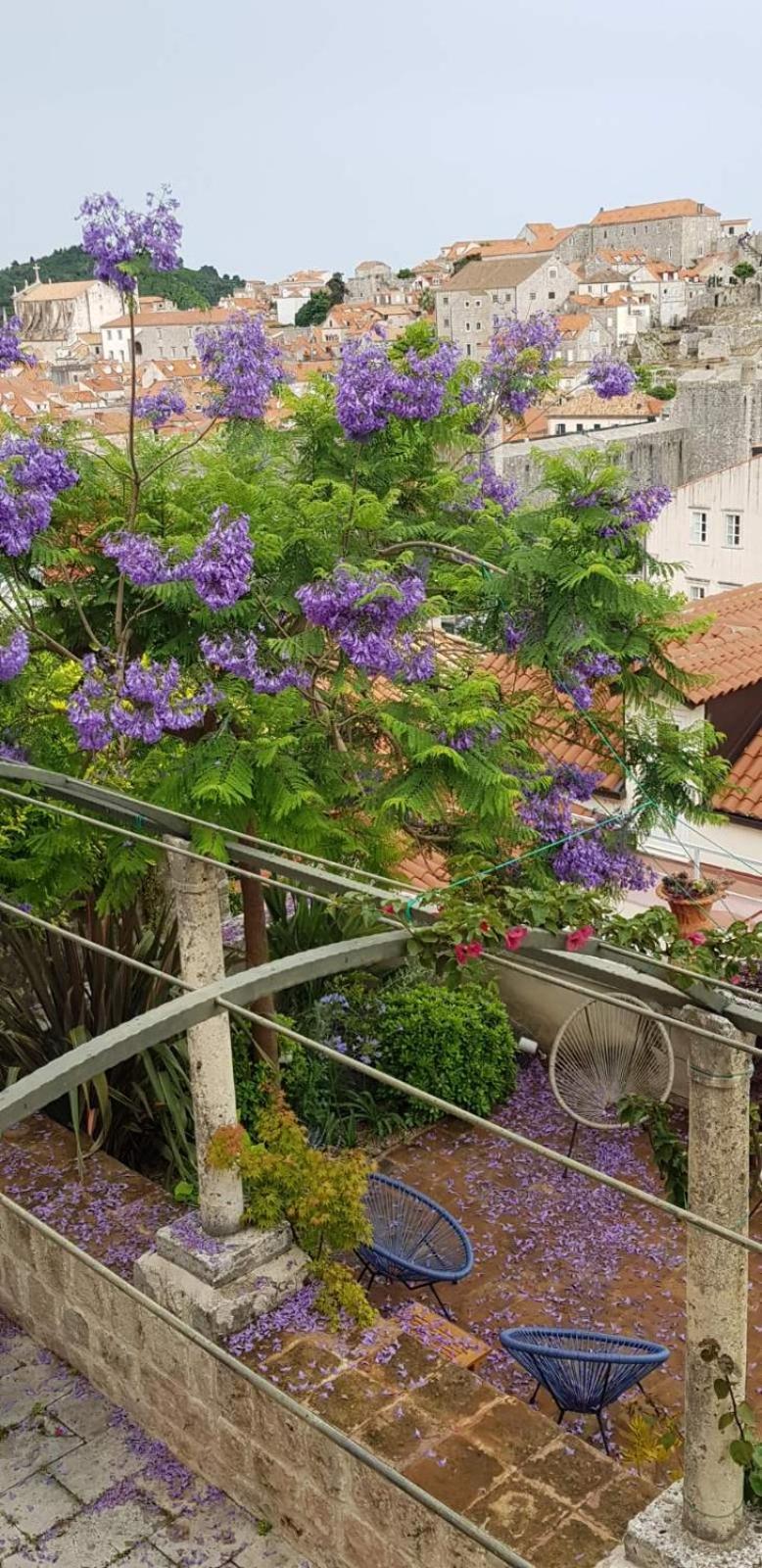 Villa Ani Apartment Ariel Dubrovnik Exteriör bild
